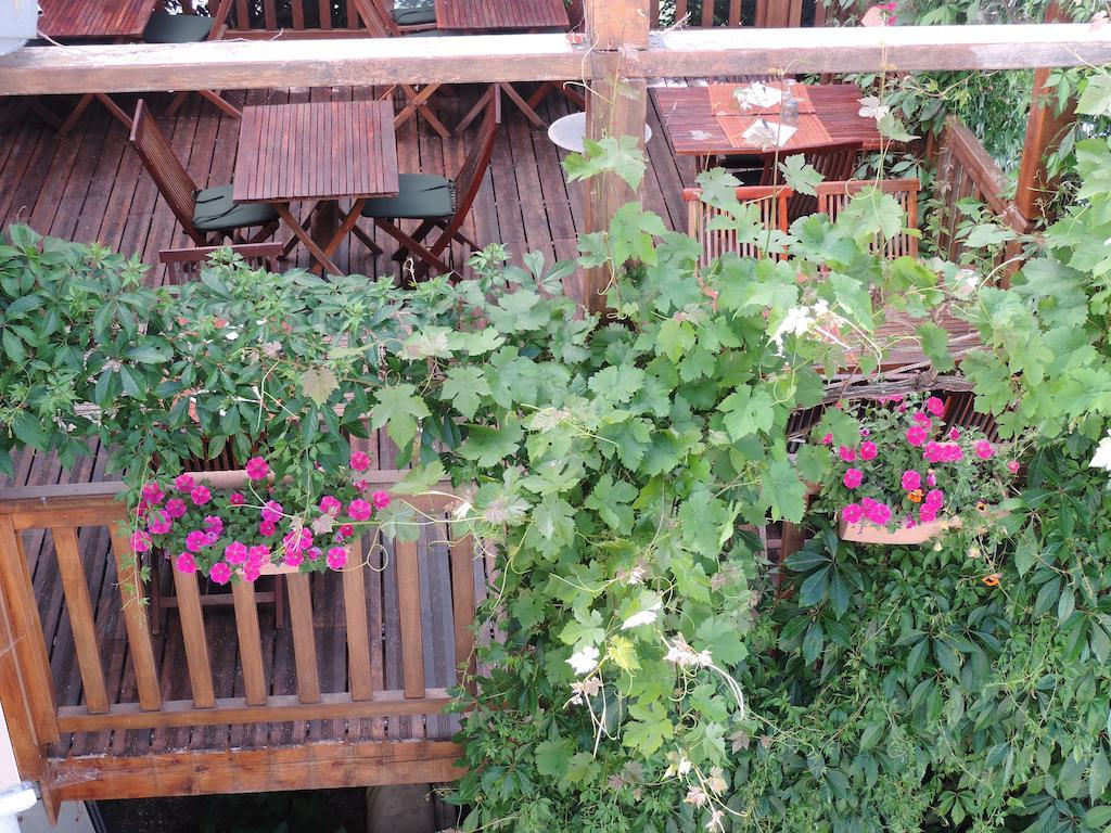 Auberge Saint Fleuret Estaing  Kültér fotó